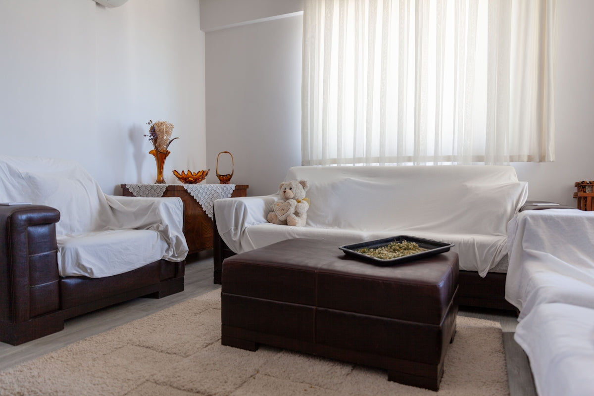 Living room with couches and ottoman