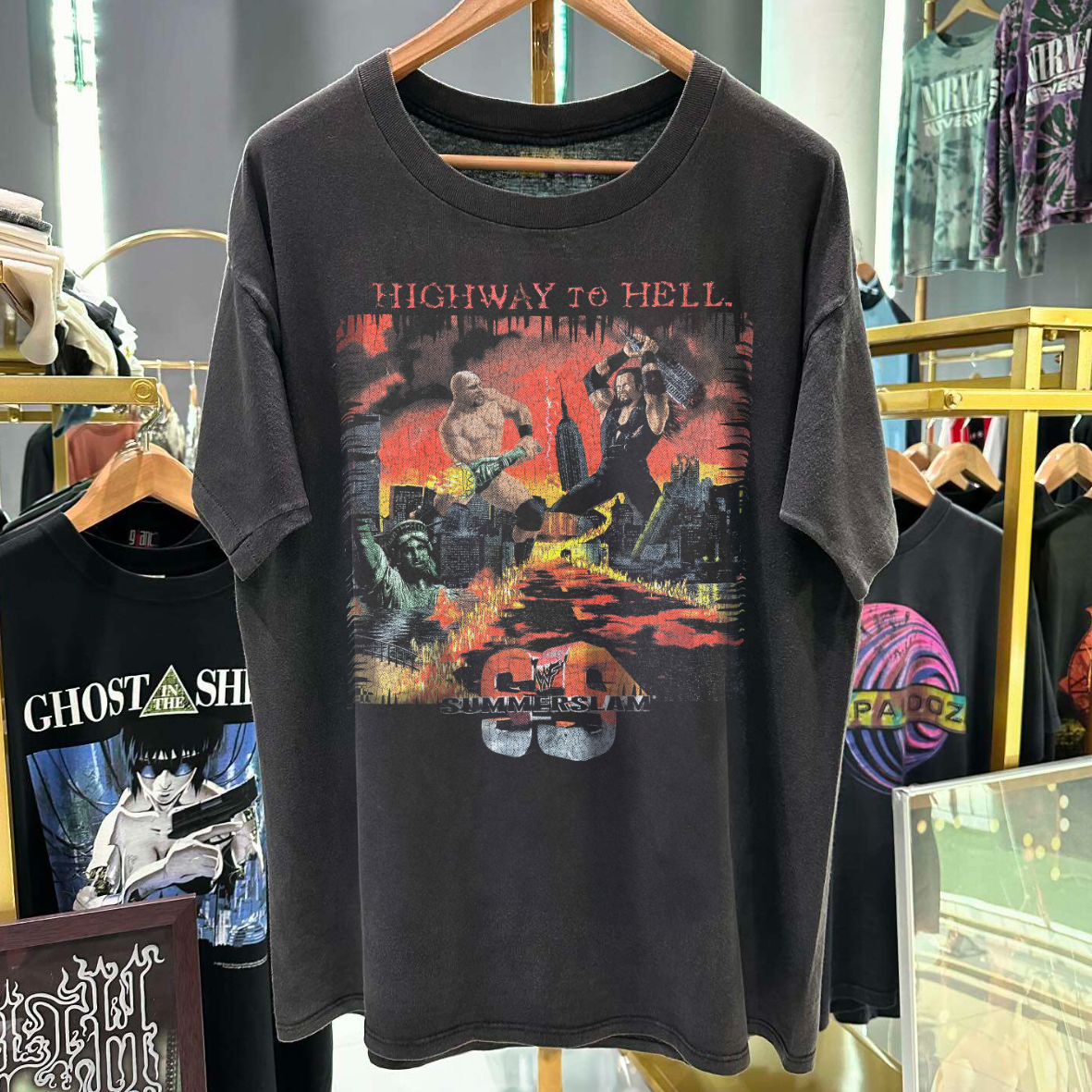 Highway To Hell 1998 Summerslam Stone Cold X Undertaker Vintage Washed T-Shirt